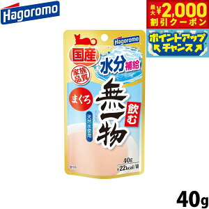 y2000~OFFN[|IGg[Ń|Cg+20{I}\Iz͂t[Y ޖꕨ Lbgt[h pE` ܂ 40g Y Y