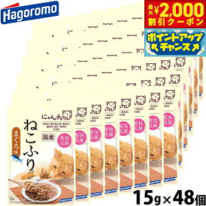 y2000~OFFN[|IGg[Ń|Cg+20{I{Iz͂t[Y Lpӂ肩 ˂ӂ ܂떡 15g×48 Y Y