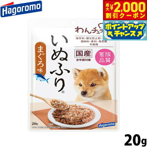 y2000~OFFN[|IGg[Ń|Cg+20{I{Iz͂t[Y ` ʂӂ ܂떡 pӂ肩 20g Y Y