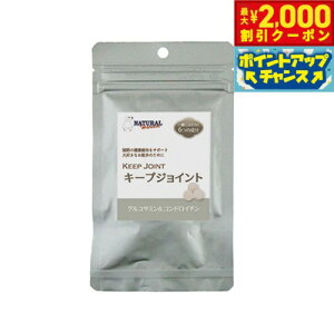 y2000~OFFN[|IGg[Ń|Cg+20{I{Izi`n[xXg Tvg L[vWCg 180 Y ֐ ORT~ RhC`