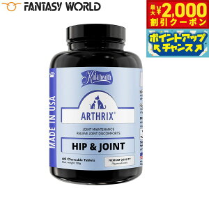 y2000~OFFN[|IGg[Ń|Cg+20{I{Izt@^W[[h JwX Tvg A[XbNX 60yz ֐