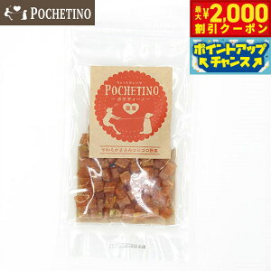 y2000~OFFN[|IGg[Ń|Cg+20{I{Izx^ |PeB[m p 炩݃RR  50g Y Y ̂