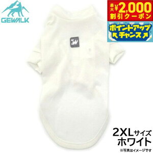 y2000~OFFN[|IGg[Ń|Cg+20{I{IzWEH[N GEWALK h K[h}bNX ANeBu TVc 2XL zCg  hbOEFA ybgEFA 悯