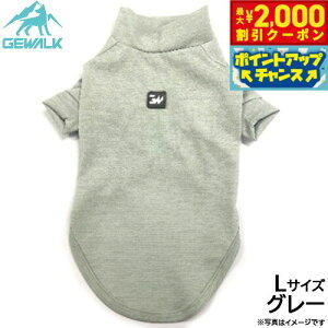 y2000~OFFN[|IGg[Ń|Cg+20{I{IzWEH[N GEWALK h K[h}bNX ANeBu TVc L O[  hbOEFA ybgEFA 悯