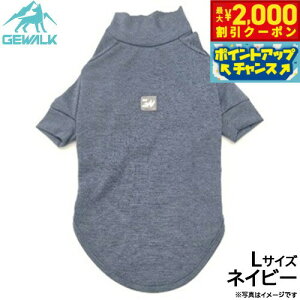 y2000~OFFN[|IGg[Ń|Cg+20{I{IzWEH[N GEWALK h K[h}bNX ANeBu TVc L lCr[  hbOEFA ybgEFA 悯