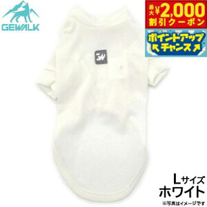 y2000~OFFN[|IGg[Ń|Cg+20{I{IzWEH[N GEWALK h K[h}bNX ANeBu TVc L zCg  hbOEFA ybgEFA 悯