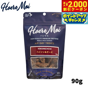 y2000~OFFN[|IGg[Ń|Cg+20{I{Izn}G xj\`[Y 90g p Lp Y