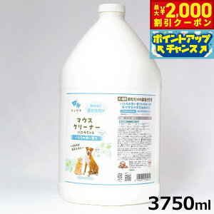 y2000~OFFN[|IGg[Ń|Cg+20{I{Iz}EXN[i[ oj~g 1Ki3750mlj ybgLX f^PA ݂  pi/Lpi/ybgObY/