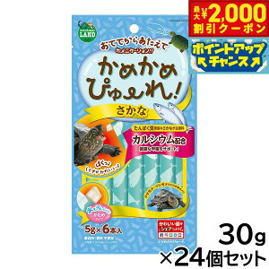 y2000~OFFN[|IGg[Ń|Cg+20{I{Iz}J ߂߂҂[  5g×6{×24Zbg