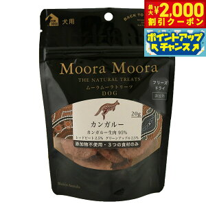 y2000~OFFN[|IGg[Ń|Cg+20{I{Iz[[ t[YhCg[c p JK[ 20g   Y ӂ肩 gbsO sgp OCt