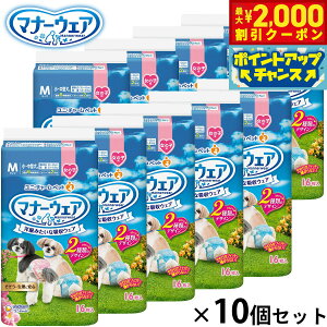 y2000~OFFN[|IGg[Ń|Cg+20{I}\Izj `[ }i[EFA ̎qp sN{ { M 16×10Zbg }i[pc ނ Tj^[p