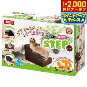 y2000~OFFN[|IGg[Ń|Cg+20{I{Iz}J GONTA CLUBiS^Nuj S̑gXebv uE Ki