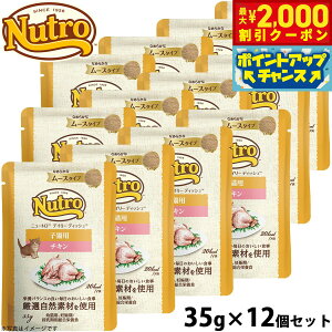 y2000~OFFN[|IGg[Ń|Cg+20{I{Izj[g Lbgt[h EFbg fC[fBbV qL `L [XpE` 35g×12