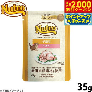 y2000~OFFN[|IGg[Ń|Cg+20{I{Izj[g Lbgt[h EFbg fC[fBbV qL `L [XpE` 35g