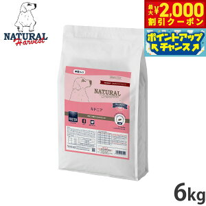 y2000~OFFN[|IGg[Ń|Cg+20{I{Izi`n[xXg hbOt[h LhjA tapHÖ@H 6kgyz Y p {p