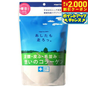 y2000~OFFN[|IGg[Ń|Cg+20{I{Izjbs Tvg B p 160g Tv ֐ 畆 R[Q 