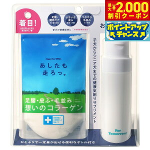 y2000~OFFN[|IGg[Ń|Cg+20{I{Izjbs Tvg B p Zbg 40g Tv ֐ 畆 R[Q 