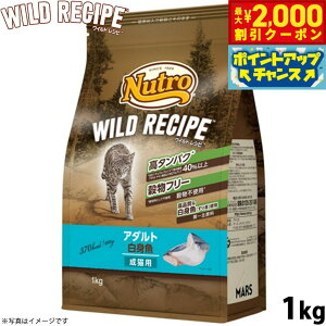 y2000~OFFN[|IGg[Ń|Cg+20{I{Izj[g Lbgt[h ChVs A_g g Lp 1kg t[ OCt[ Y i`Lp