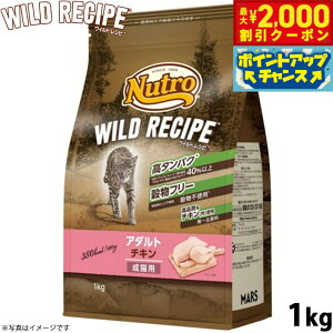 y2000~OFFN[|IGg[Ń|Cg+20{I{Izj[g Lbgt[h ChVs A_g `L Lp 1kg t[ OCt[ Y i`Lp