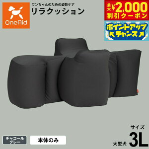 y2000~OFFN[|IGg[Ń|Cg+20{I{IzOneAid GCh NbV 3L `R[O[yzp  pi xbh p ^p