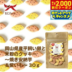 y2000~OFFN[|IGg[Ń|Cg+20{I{IzI[V[t@[ p ƕĕ̃NbL[ [ 30g Y