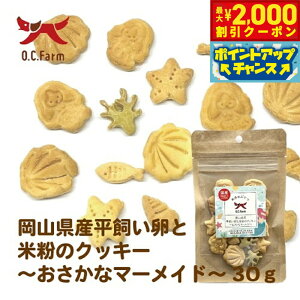 y2000~OFFN[|IGg[Ń|Cg+20{I{IzI[V[t@[ p ƕĕ̃NbL[ }[Ch 30g Y Y