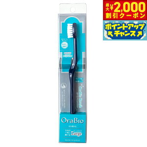 y2000~OFFN[|IGg[Ń|Cg+20{I}\IzOraBio I[oCIuV [W lCr[  uV f^PA  ݂͂ n~KL Y Y  C 