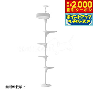 y2000~OFFN[|IGg[Ń|Cg+20{I{Izyr[TzOPPO Ib| Lbg^[ ˂ X ȃXy[X LbgtHXg c[ CatForest-2  