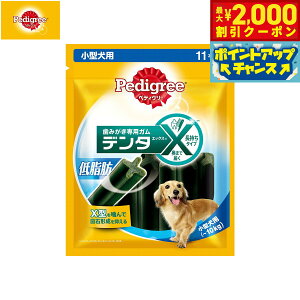 y2000~OFFN[|IGg[Ń|Cg+20{I{IzyfBO[ pXibN ^p f^GbNX ᎉb 11{ f^PA