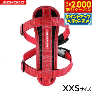 y2000~OFFN[|IGg[Ń|Cg+20{I}\IzC[W[hbO EZYDOG n[lX XXS bhyz `FXgv[g   ^