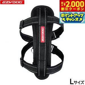 y2000~OFFN[|IGg[Ń|Cg+20{I}\IzC[W[hbO EZYDOG n[lX L ubNyz `FXgv[g   ^