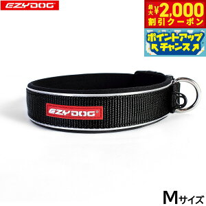 y2000~OFFN[|IGg[Ń|Cg+20{I}\IzC[W[hbO EZYDOG lIJ[ M ubN  EFbgX[cf  ^