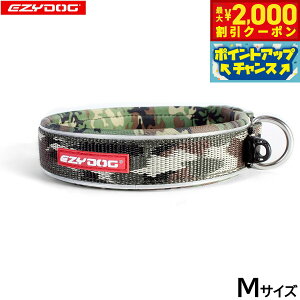 y2000~OFFN[|IGg[Ń|Cg+20{I}\IzC[W[hbO EZYDOG lIJ[ M O[J  EFbgX[cf  ^