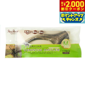 y2000~OFFN[|IGg[Ń|Cg+20{I{Izybc[g xj\Ag[ M p  ̊p