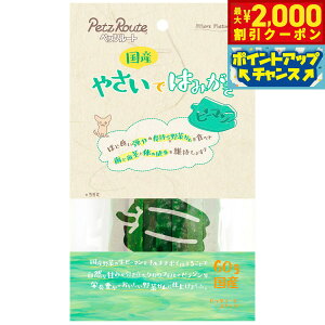 y2000~OFFN[|IGg[Ń|Cg+20{I{Izybc[g ₳ł݂͂ s[} 60g  K Y f^PA  n~KL  s 