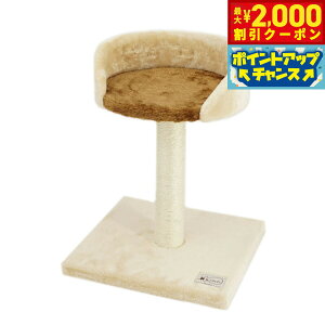 y2000~OFFN[|IGg[Ń|Cg+20{I{Izybgv ˂ ˂D܂Ƃ Lbg^[ X^h L RpNg ȃXy[X u