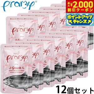 y2000~OFFN[|IGg[Ń|Cg+20{I{Izv~[ Pramy Lbgt[h EFbgt[h T[[XO[X Lg 70g×12Zbg Y OCt[ s