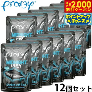 y2000~OFFN[|IGg[Ń|Cg+20{I{Izv~[ Pramy Lbgt[h EFbgt[h ~bhiCg `L ci[X A_g 80g×12Zbg Y OCt