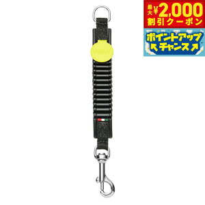 y2000~OFFN[|IGg[Ń|Cg+20{I}\IzWAW C[W[ hbOEH[N XS ubN