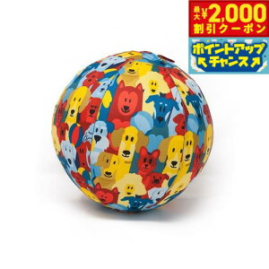 y2000~OFFN[|IGg[Ń|Cg+20{I}\Izybgu[ Petbloon hbO o[  DJo[  {[ RpNg ^