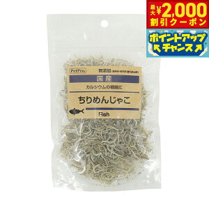 y2000~OFFN[|IGg[Ń|Cg+20{I}\Izybgv p Y Y߂񂶂Ⴑ 60g