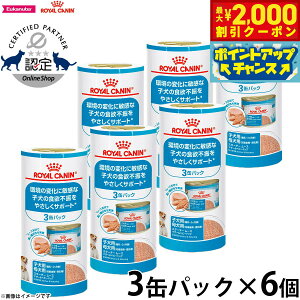 y2000~OFFN[|IGg[Ń|Cg+20{I}\IzCJi hbOt[h TCY wX j[gV EFbg X^[^[[X}U[xr[hbO 