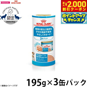 y2000~OFFN[|IGg[Ń|Cg+20{I{IzCJi hbOt[h TCY wX j[gV EFbg X^[^[[X}U[xr[hbO `