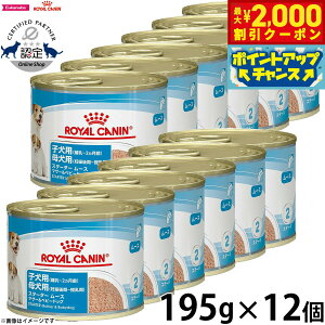 y2000~OFFN[|IGg[Ń|Cg+20{I}\IzCJi hbOt[h TCY wX j[gV EFbg X^[^[[X}U[xr[hbO`