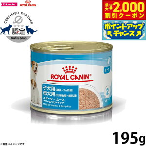 y2000~OFFN[|IGg[Ń|Cg+20{I}\IzCJi hbOt[h TCY wX j[gV EFbg X^[^[[X}U[xr[hbO`