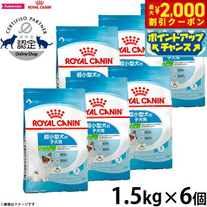 y2000~OFFN[|IGg[Ń|Cg+20{I{IzCJi  hbOt[h GNXg X[ ps[ 1.5kg×6 Ki pi/ybgObY/ybgpi