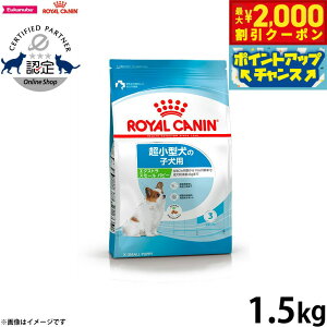 y2000~OFFN[|IGg[Ń|Cg+20{I{IzCJi  hbOt[h GNXg X[ ps[ 1.5kg Ki pi/ybgObY/ybgpi [RC-PP]