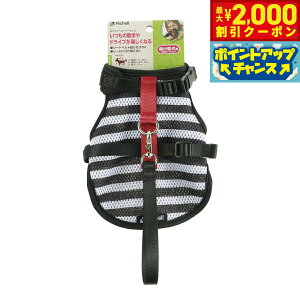 y2000~OFFN[|IGg[Ń|Cg+20{I{Izb`F Richell łxXgn[lX S XgCv   n[lX xXg ̌^ ^ 􂢉 U hCu