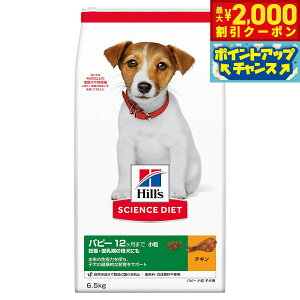 y2000~OFFN[|IGg[Ń|Cg+20{I{IzTCGX _CGbg ps[  qp 12܂ `L 6.5kg qY hbOt[h hCt[h h{H F 