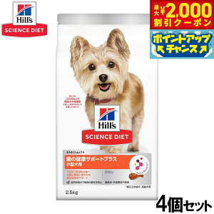 y2000~OFFN[|IGg[Ń|Cg+20{I}\IzqY TCGX_CGbg hbOt[h ^p ̌NT|[gvX 1Έȏ `L 2.5kg×4Zbgy